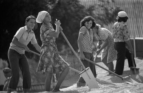 Communist Collective Farm in Cherkasy Region
