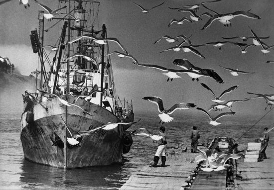 Fishing vessel Udaloi (Daring)