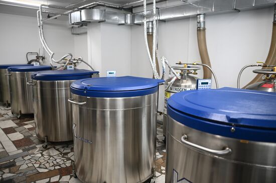 Russia Heathcare Blood Centre