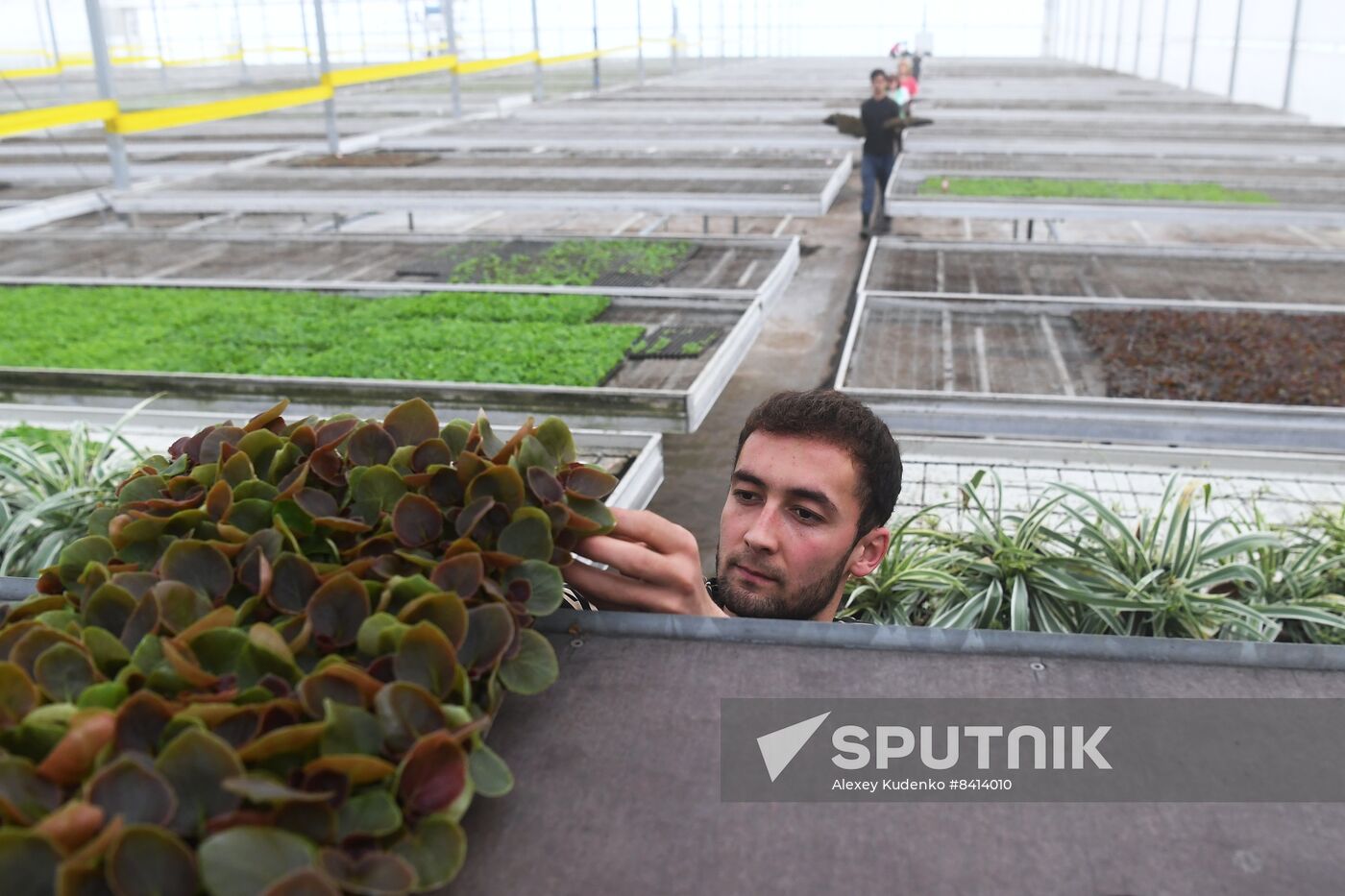Russia Agriculture