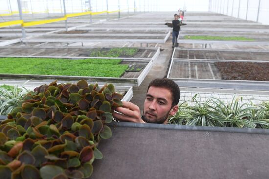 Russia Agriculture