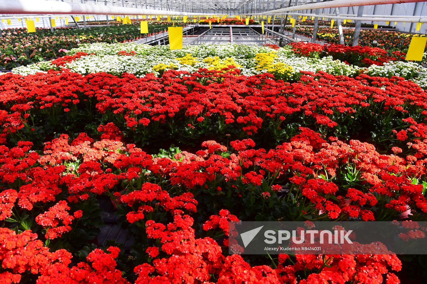 Russia Agriculture