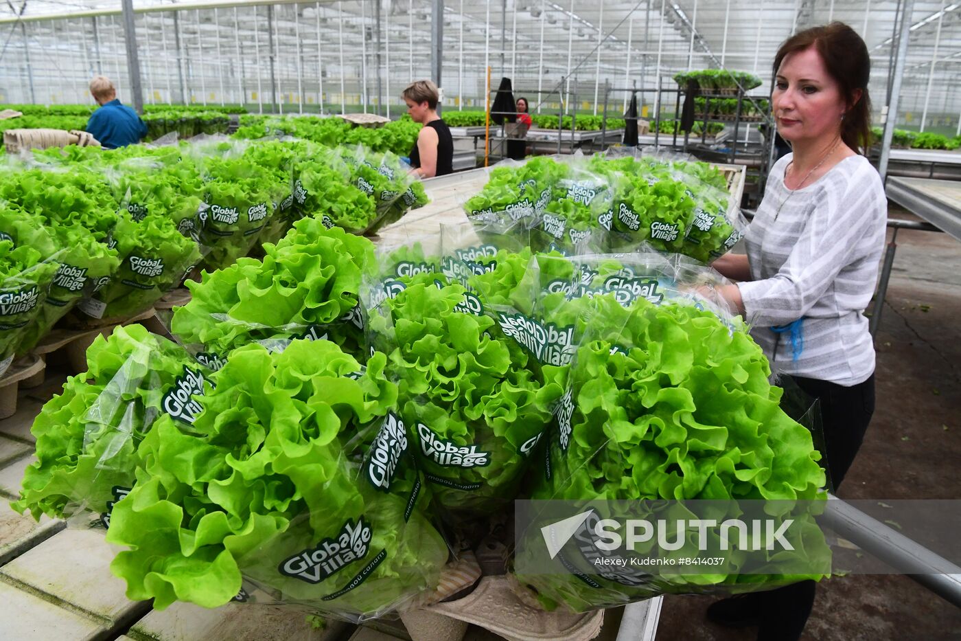 Russia Agriculture