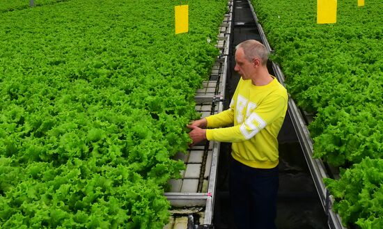 Russia Agriculture
