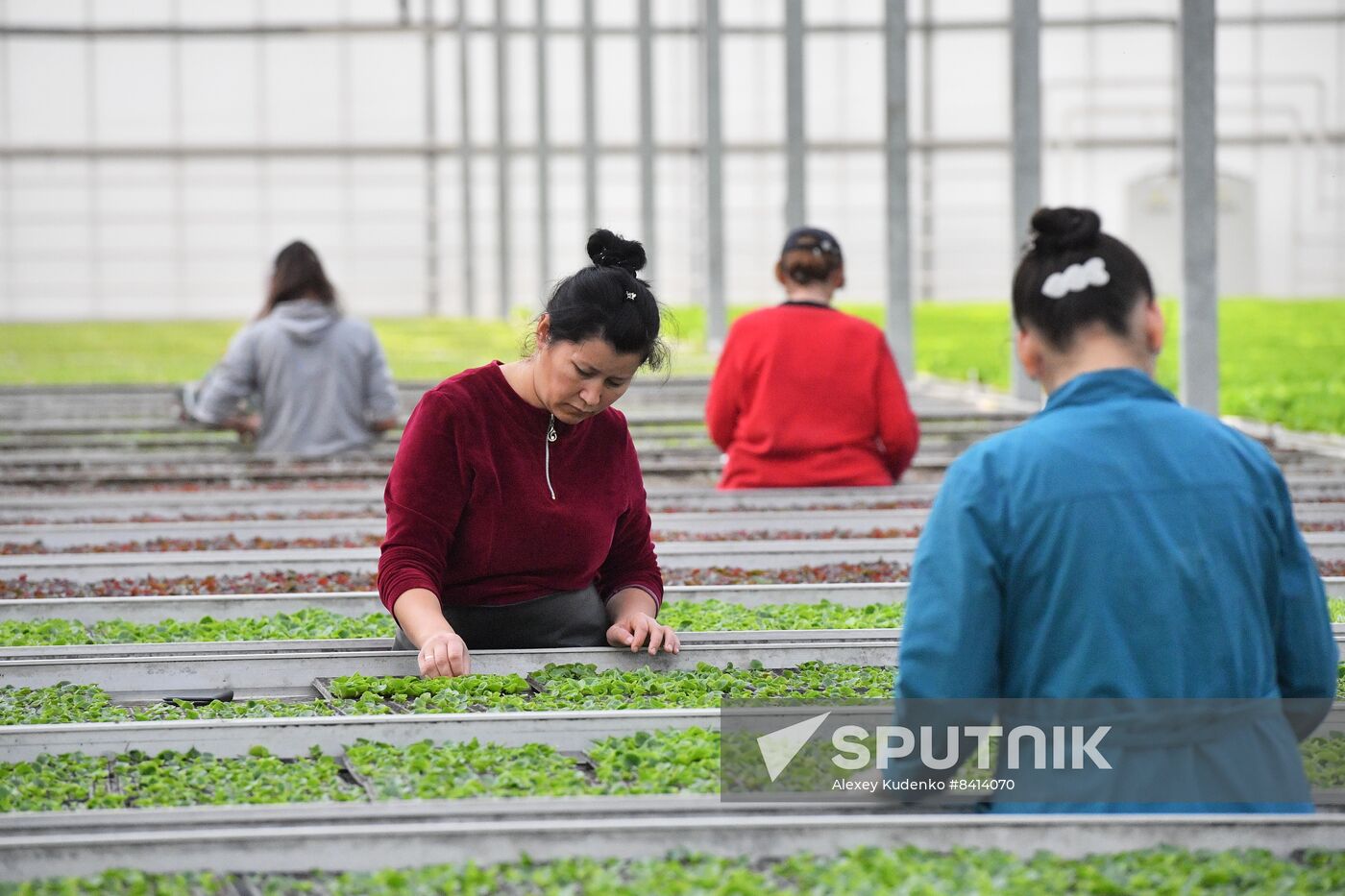 Russia Agriculture