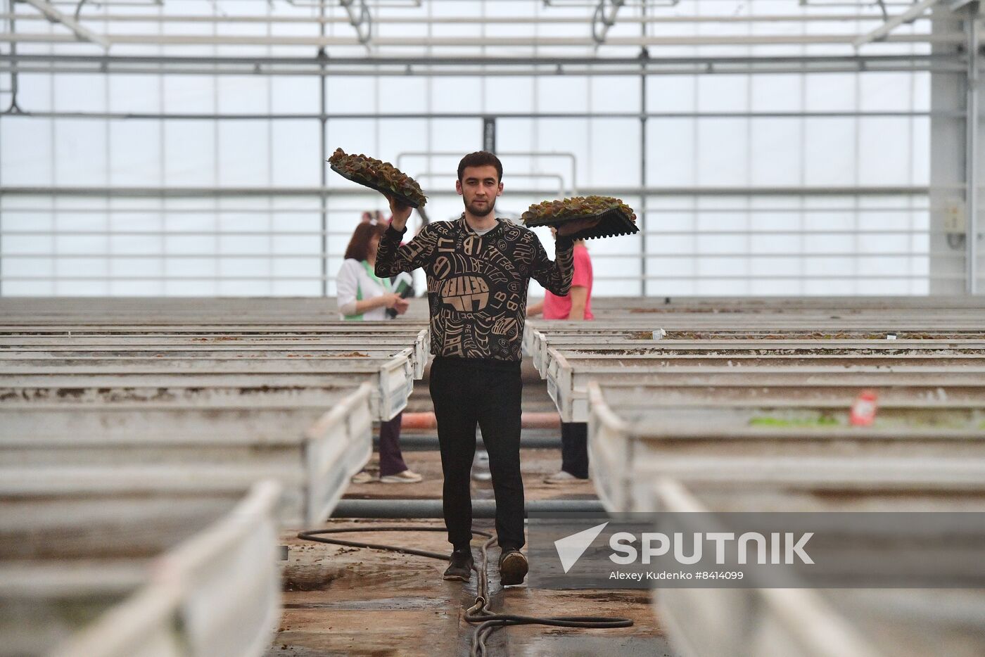 Russia Agriculture