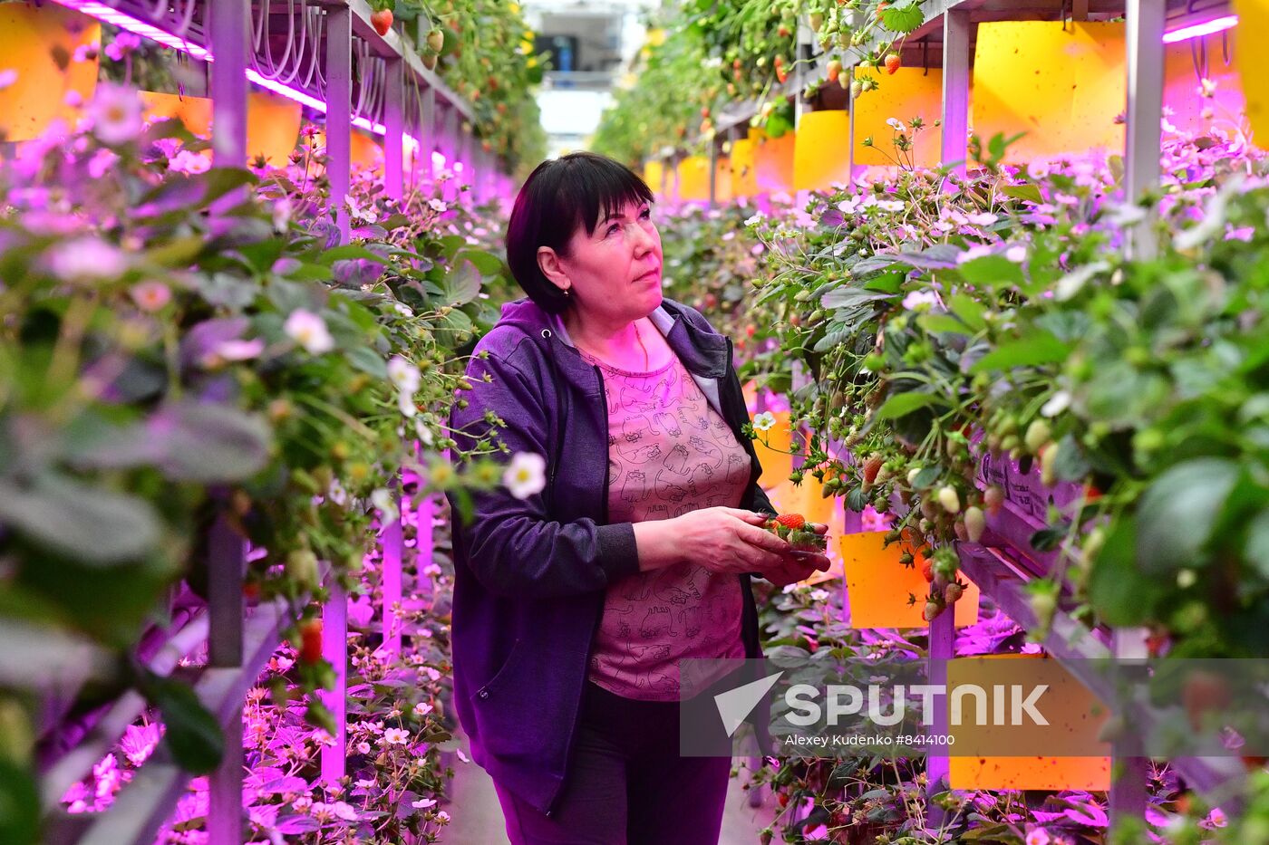 Russia Agriculture