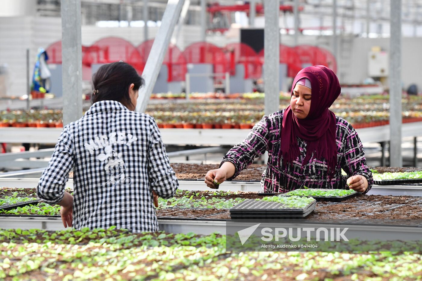 Russia Agriculture