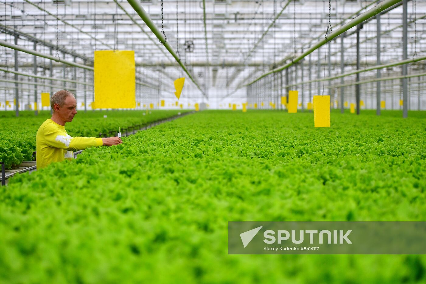 Russia Agriculture