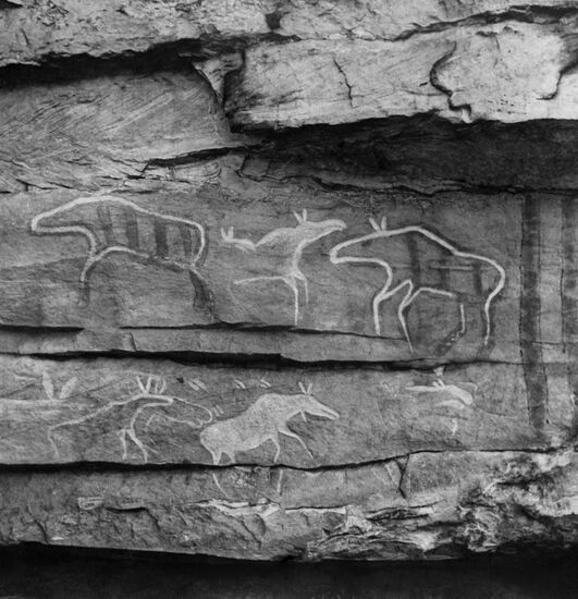 Neolithic Age archaeological findings