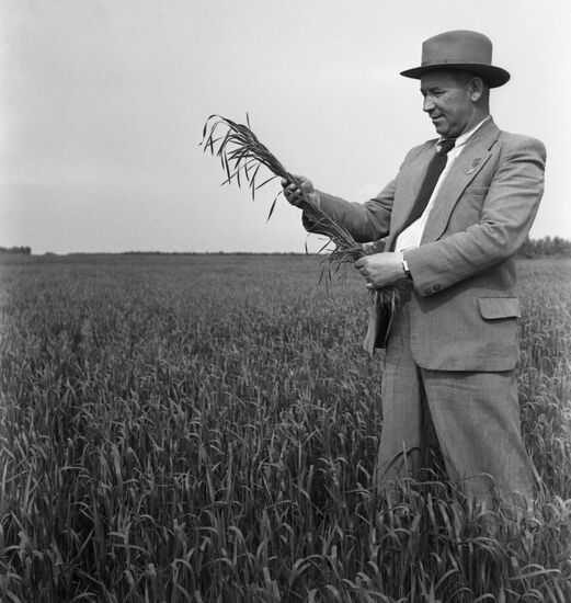 Pyotr Babmindra