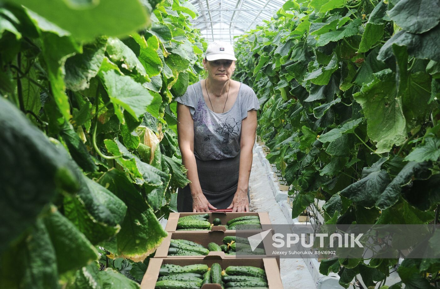 Russia Agriculture