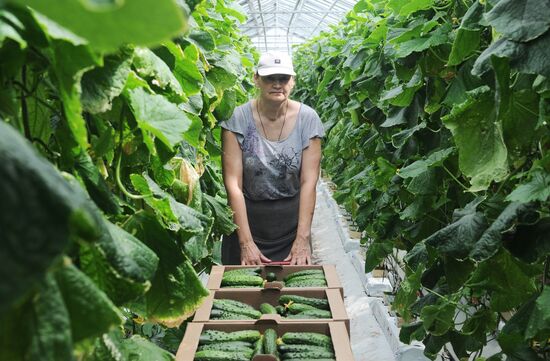 Russia Agriculture