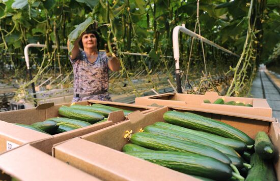 Russia Agriculture