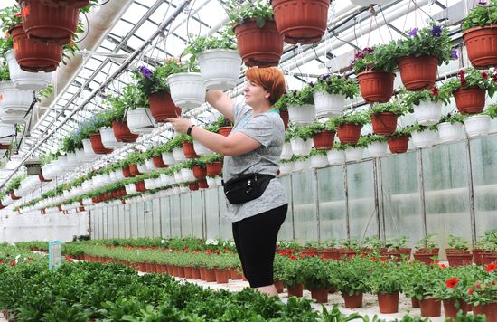 Russia Agriculture