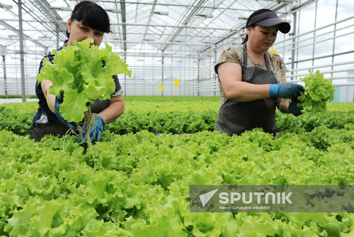 Russia Agriculture