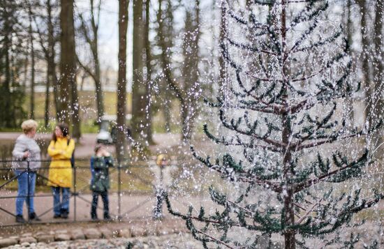 Russia Fountain Season