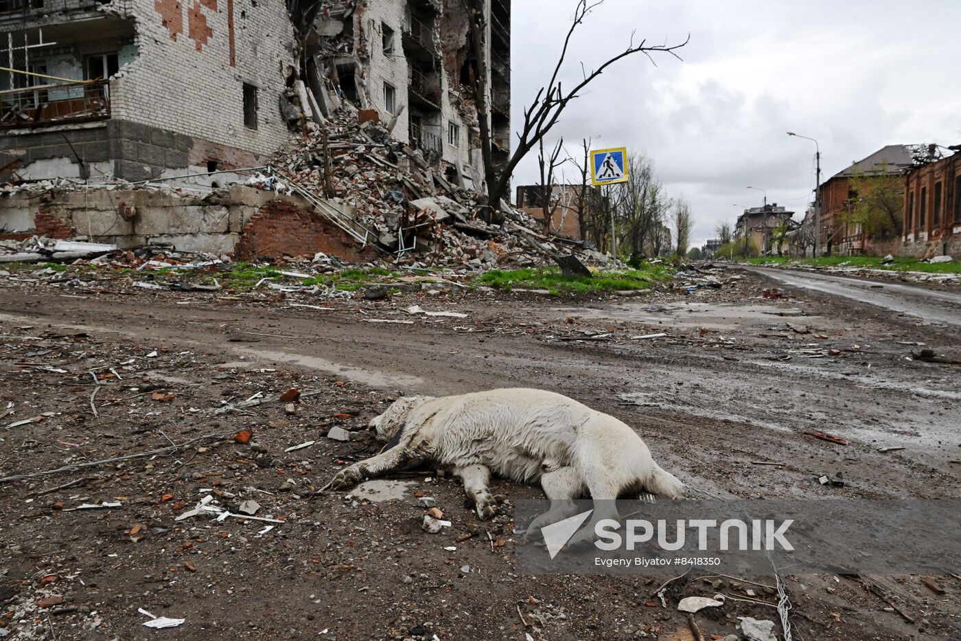 Russia Ukraine Military Operation Wagner Group