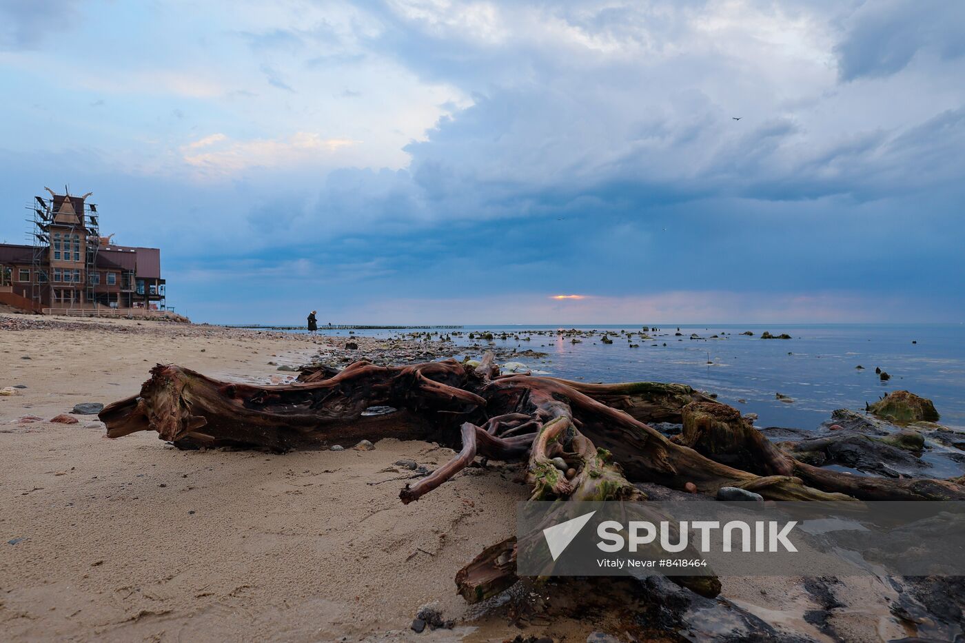 Russia Environment Fossilized Forest