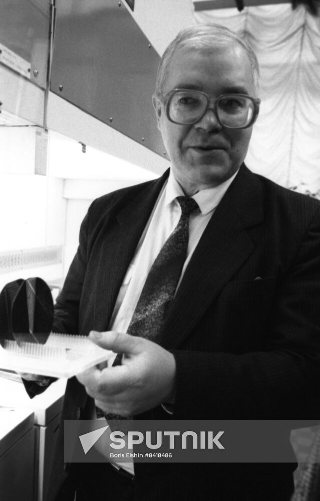 Director of the Russian Research Institute of Electrification of Agriculture Strebkov