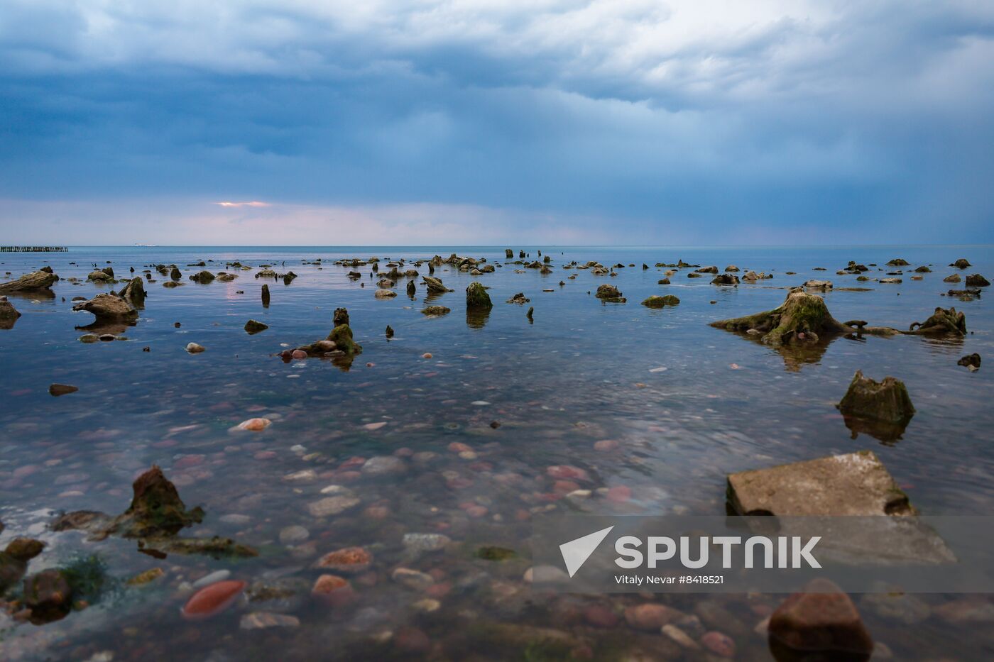 Russia Environment Fossilized Forest