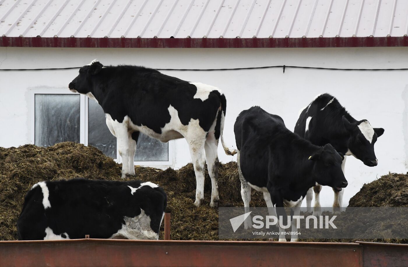 Russia Agriculture