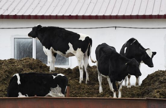 Russia Agriculture