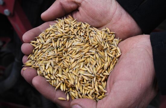 Russia Agriculture