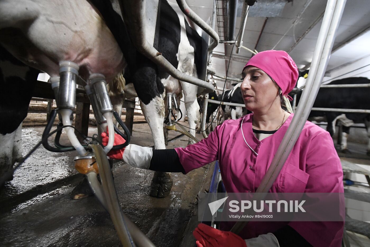 Russia Agriculture