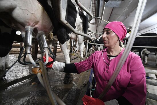 Russia Agriculture