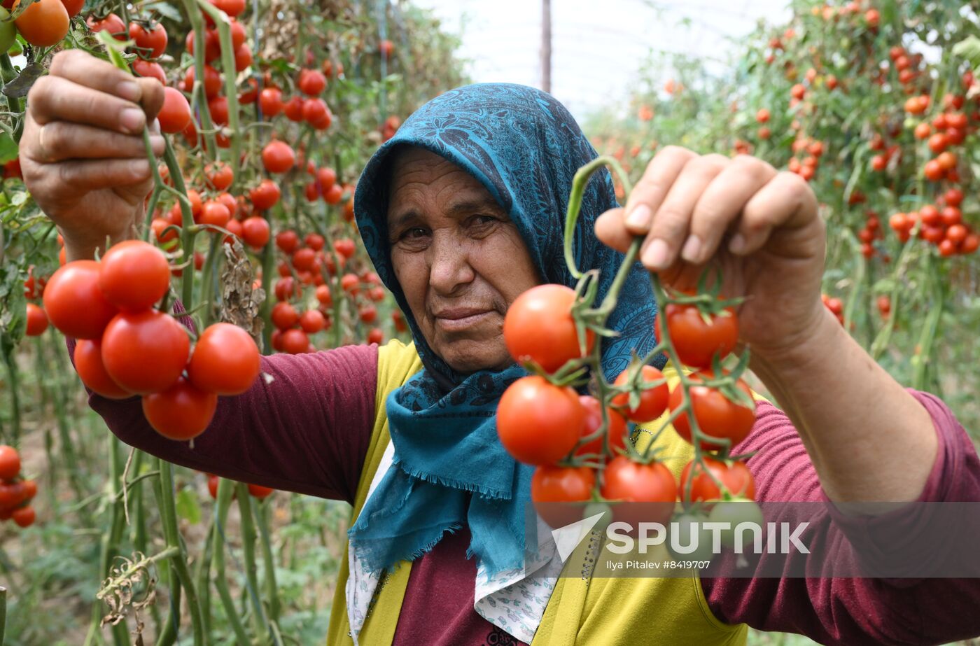 Turkey Agriculture