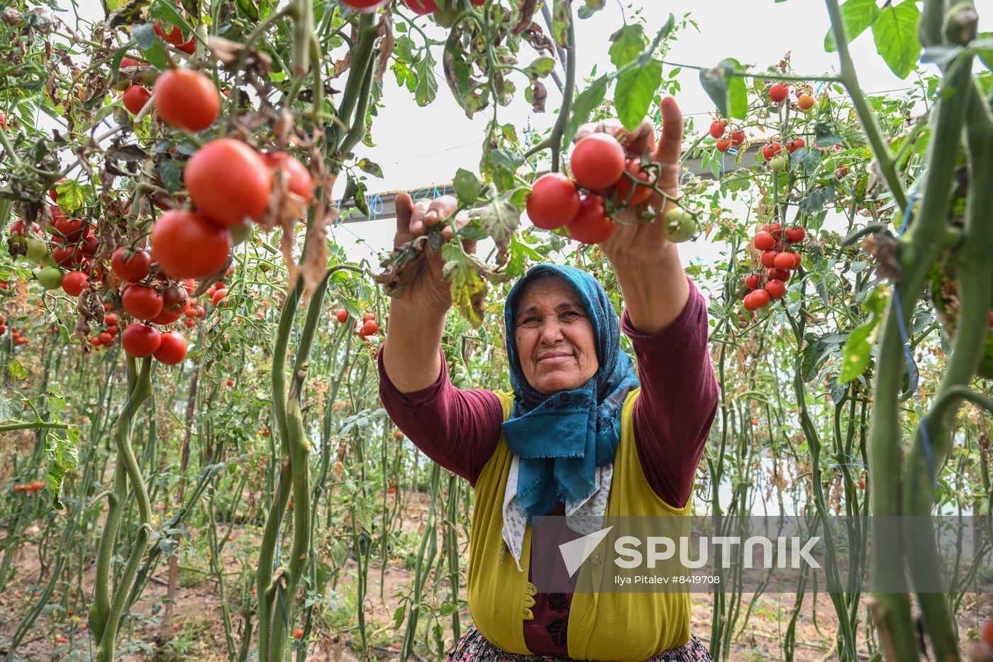 Turkey Agriculture
