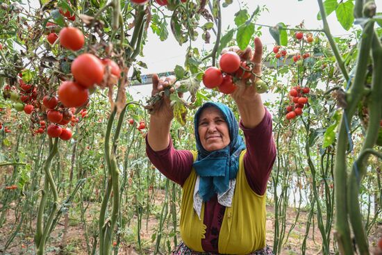 Turkey Agriculture