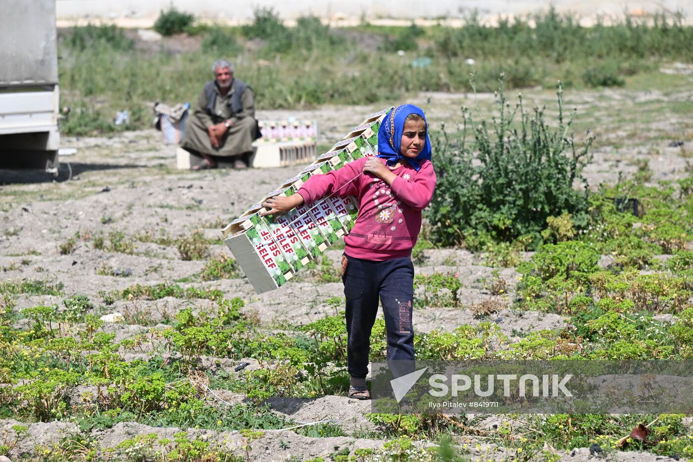 Turkey Agriculture