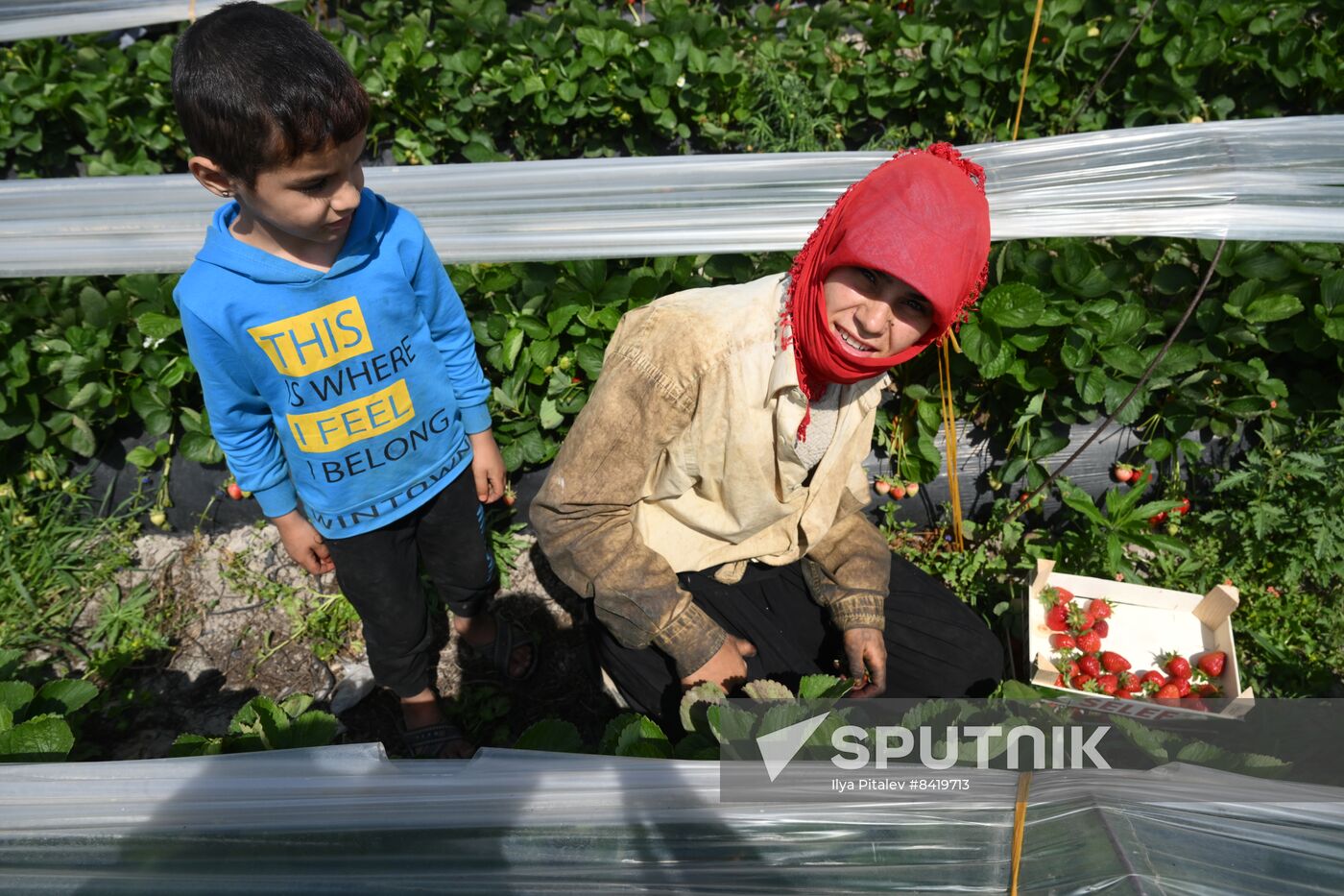 Turkey Agriculture