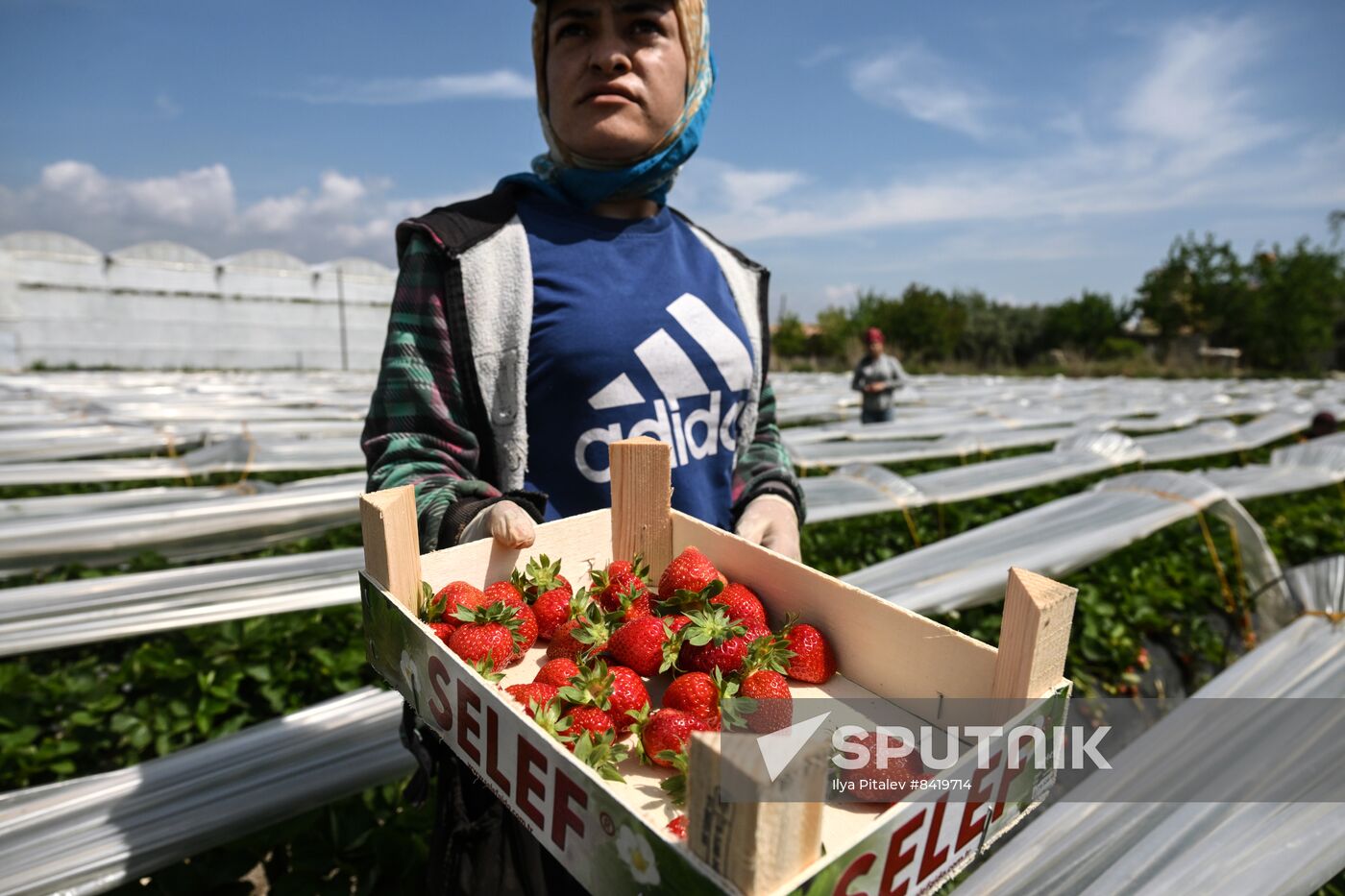 Turkey Agriculture