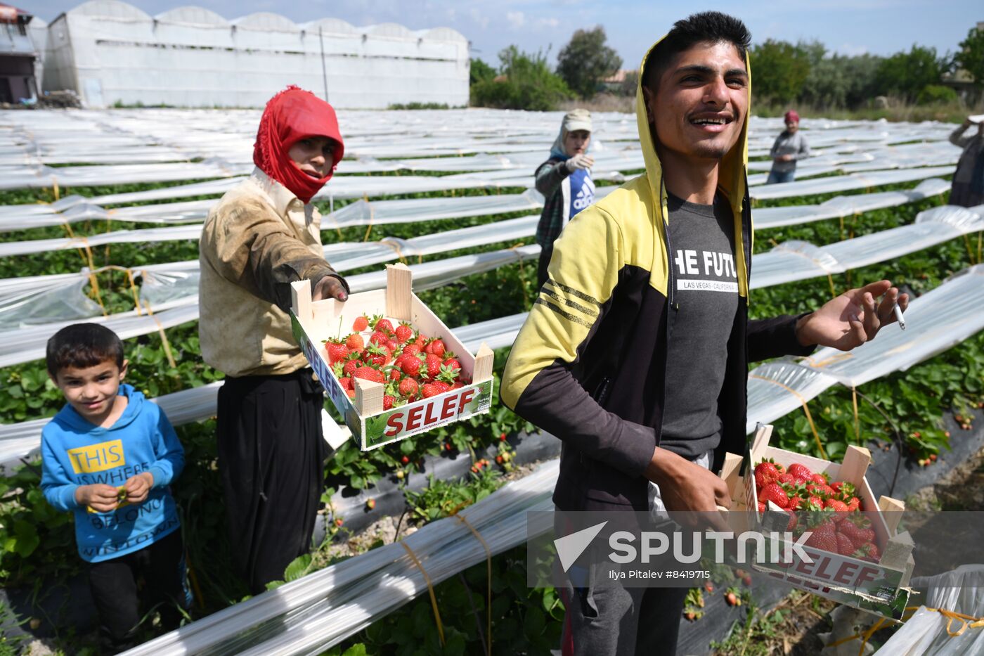 Turkey Agriculture