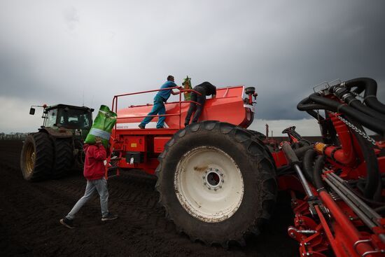 Russia Agriculture Sowing