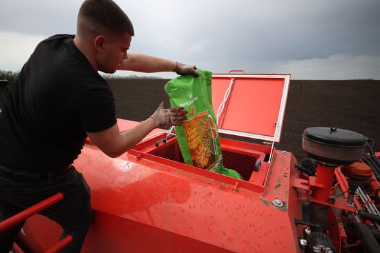 Russia Agriculture Sowing