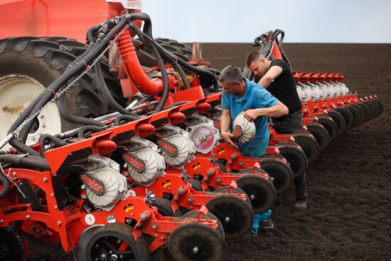 Russia Agriculture Sowing