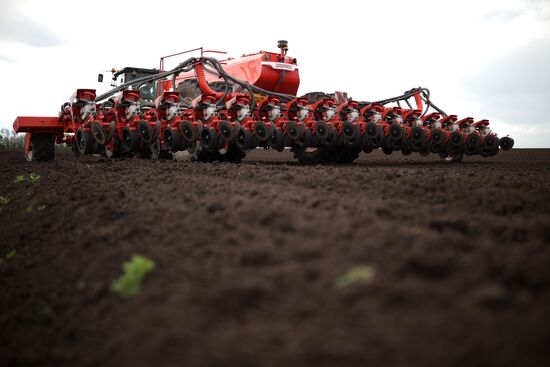 Russia Agriculture Sowing