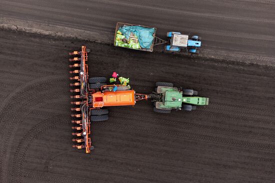 Russia Agriculture Sowing