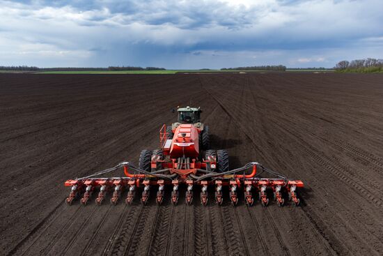 Russia Agriculture Sowing