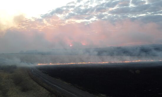 Russia Wildfires