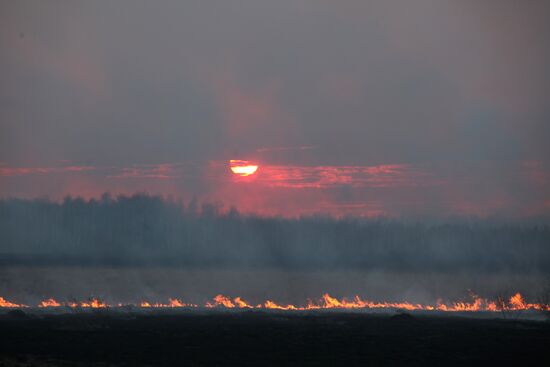 Russia Wildfires