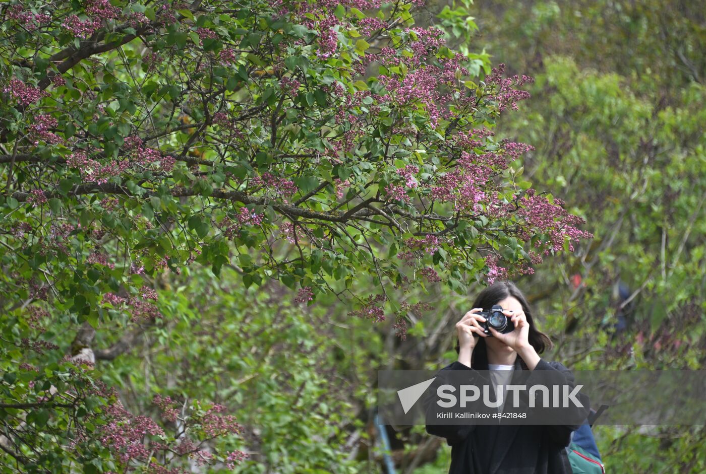 Russia Daily Life