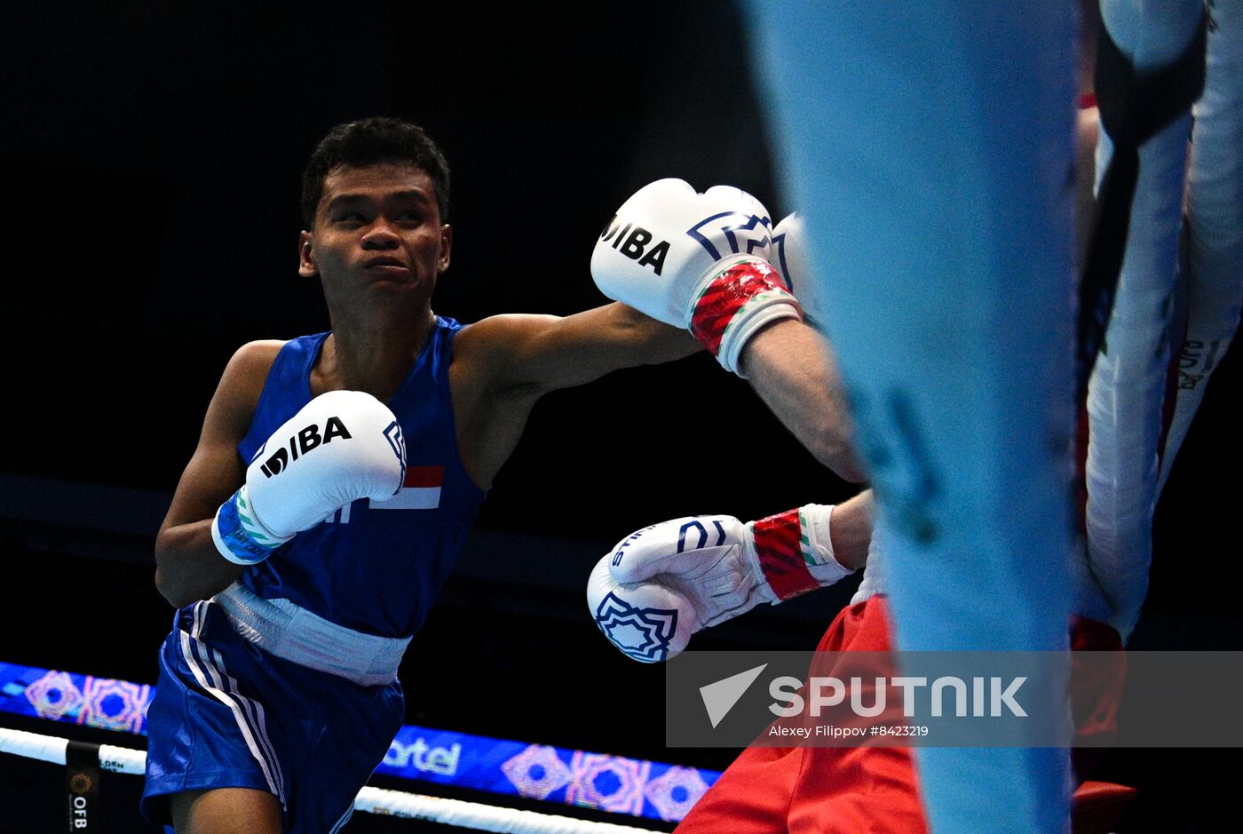 Uzbekistan Boxing World Championships