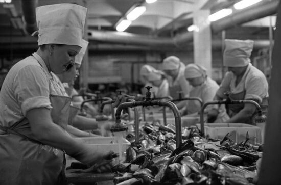 Murmansk Fish Processing Plant