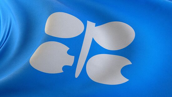 Organization of the Petroleum Exporting Countries (OPEC)