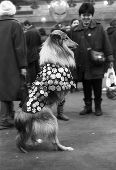 Eurasia-95 dog pageant
